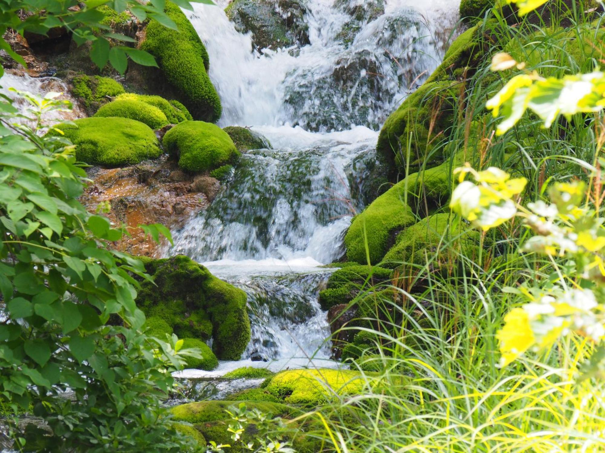 Buna Kusatsu Onsen Inn エクステリア 写真
